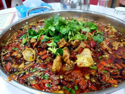 肥腸魚火鍋技術(shù)培訓(xùn)哪里比較好？